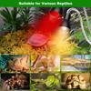 Heat Lamp for Reptile UVA UVB Light for Bearded Dragon Basking Light Dimmable Gooseneck Heating Lamp for Tortoise/Snake/Lizard