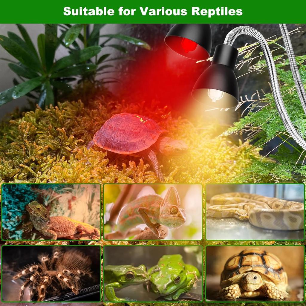 Heat Lamp for Reptile UVA UVB Light for Bearded Dragon Basking Light Dimmable Gooseneck Heating Lamp for Tortoise/Snake/Lizard