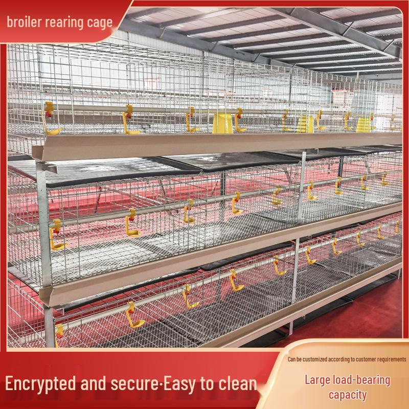 Layered Broiler Farm Equipment: Fully Automatic 3D Broiler Chicken Cages with Cleaning System