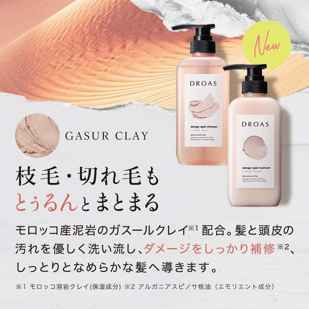 [Old Product] DROAS | Shampoo and Treatment Set Damage Repair