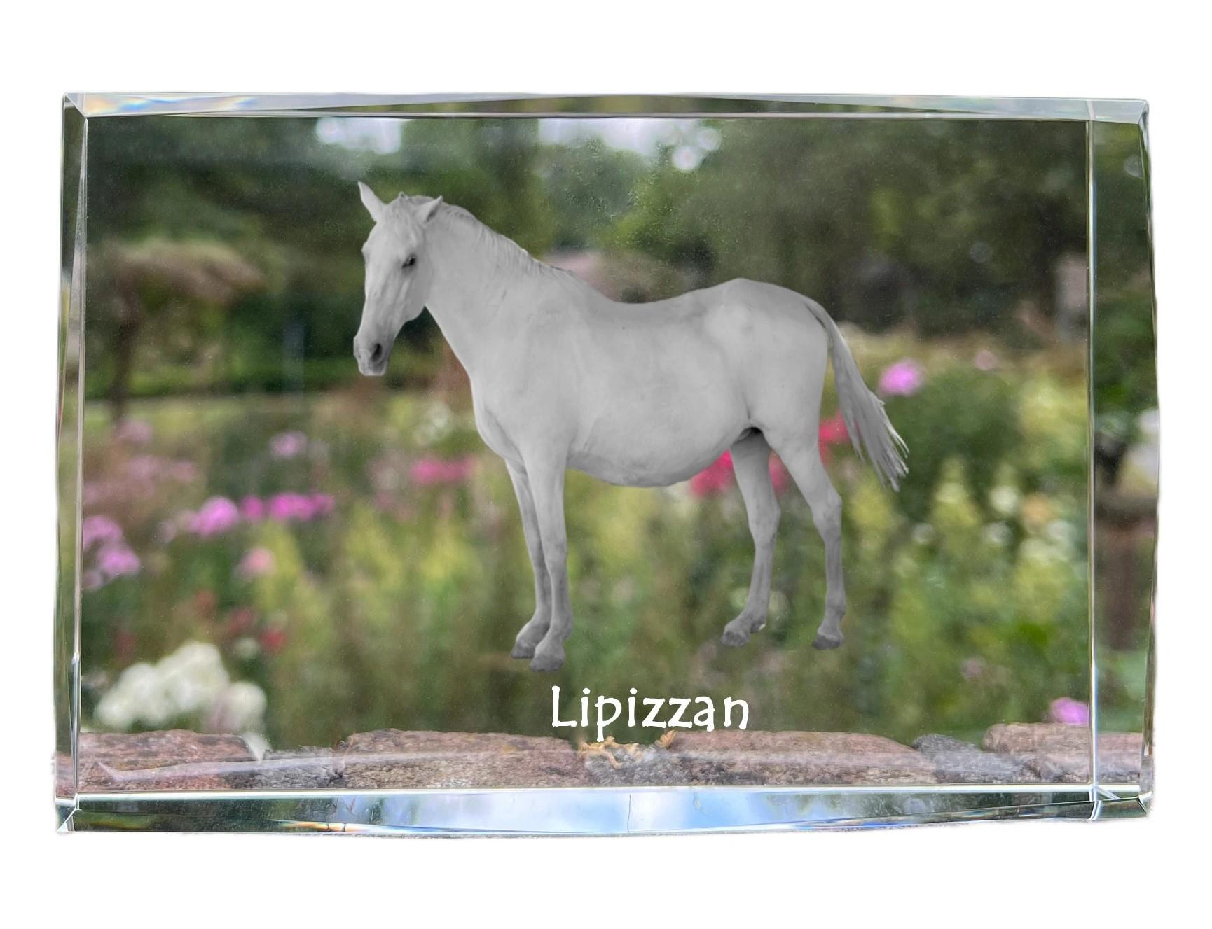 

Lipizzan - crystal with a picture of a horse, photo in glass, modern exhibition of Art-Dog brand photo прозорий