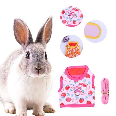 Coleira de coelho com padrão de desenho animado, fita fixadora, fantasia de coelho, gatinho, camisa, saia