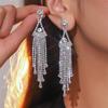 Luxurious Long Tassel Earrings with Full Diamonds for Women
