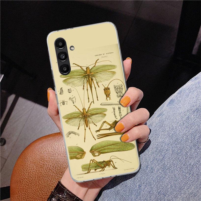 Bugs Bees Scientific Decomposition Phnoe Case for Samsung Galaxy A17 A37 A57 A16 A26 A36 A56 A15 A14 A13 A55 A54 A53 A35 A34 A33