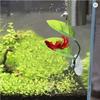 Aquarium Betta Leaf Decor Artificial Spawning Rest Bed Fish Tank Hiding Play Accessory Leaf Plants Decoration Accessories