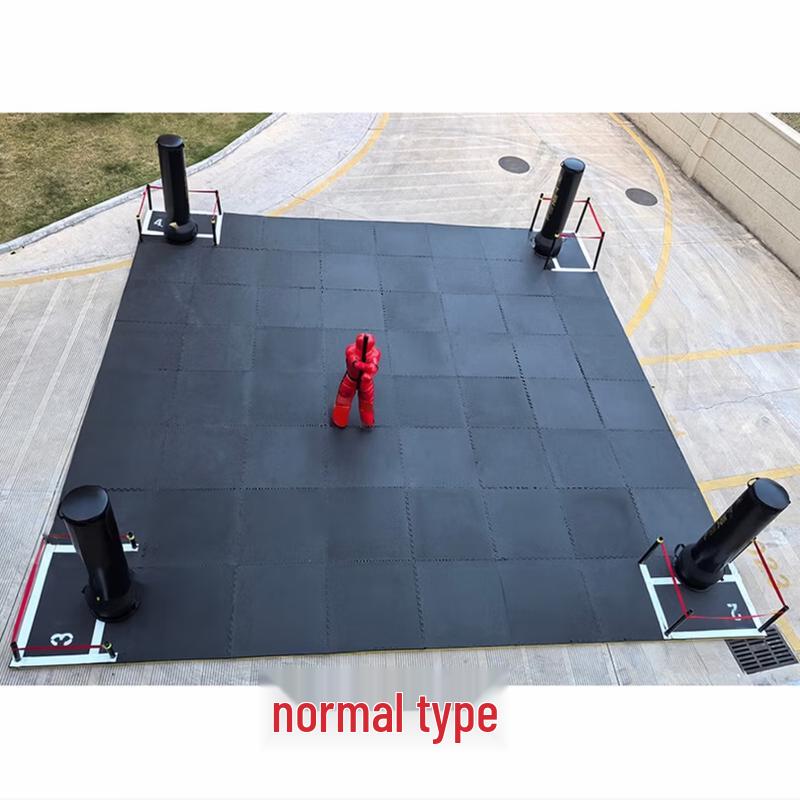 Jingdafei Martial Arts Basic Skills Training & Assessment System