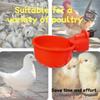 5/10cs Poultry Automatic Water Dispenser Chicken Drinking Bowl Pigeon Automatic Water Dispenser Small Chick Feeding Bowl