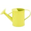 Indoor Garden Plant Watering Can Rust Resistant Iron Watering Pot with Bright Color for Easy Watering and Planting Use