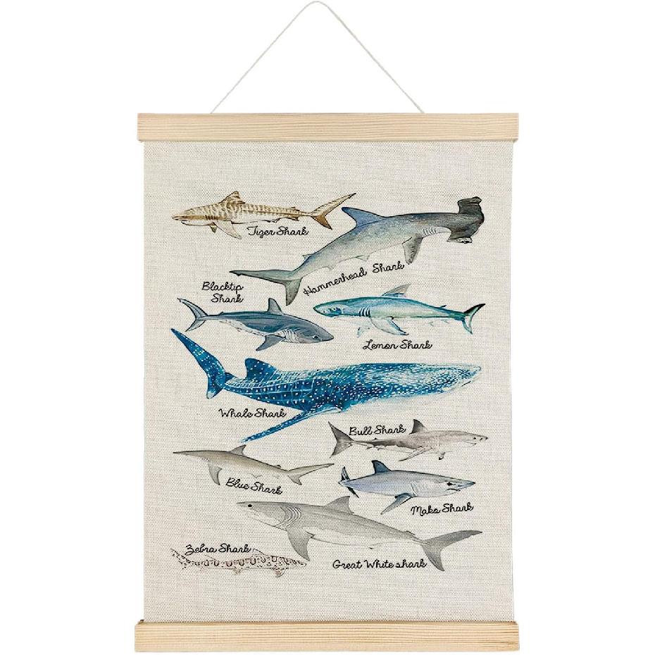 Qvapt Sea Animals Shark Posters - Shark Faces Wall Art Print, Sea Life Poster, Educational Poster for Kid Room Classroom Decor, Posters 12x16 with