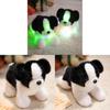 Leuchtendes Border Collie Plüschtier LED-Licht Kindergeschenk Für Kinder