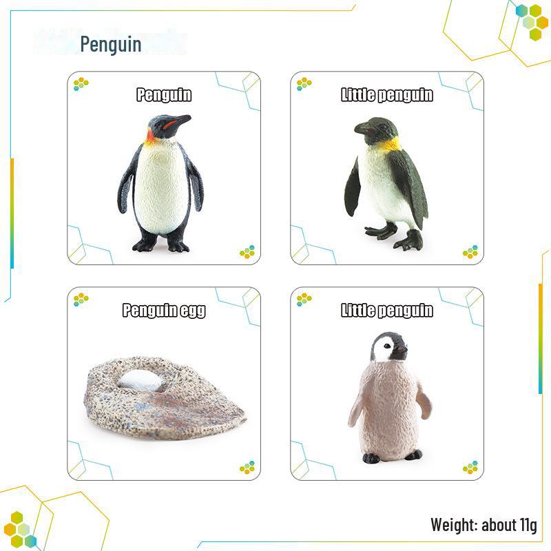 

Трансграничная детская игрушка: Моделирование циклов роста животных и растений