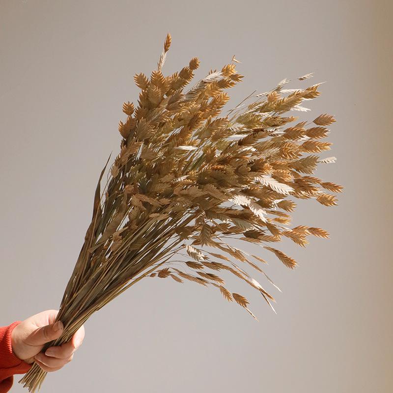 High-End Wabi-Sabi Dried Flower Decor: Natural Reeds & Wheat for Living Room or Homestay.