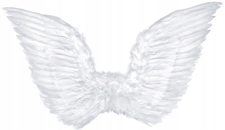 Angel Wings With Halo Set 1 Pack