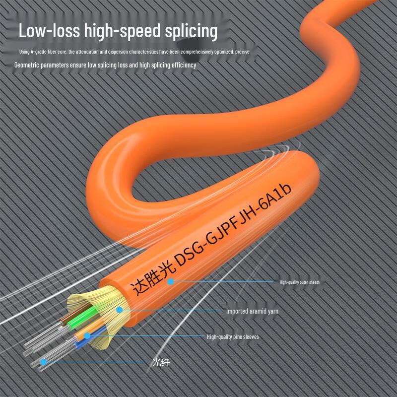 Dasheng Light Indoor Multimode Fiber Optic Cable