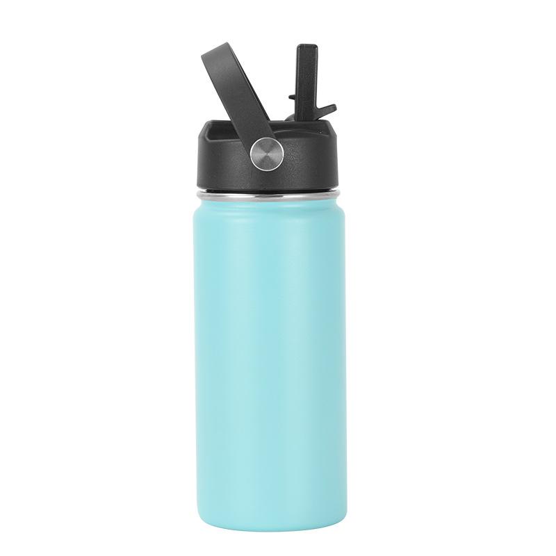 16oz 304 Stainless Steel Water Bottle, Double Wall Vacuum Insulated Sports Flask with Flip Straw Lid & Carry Handle