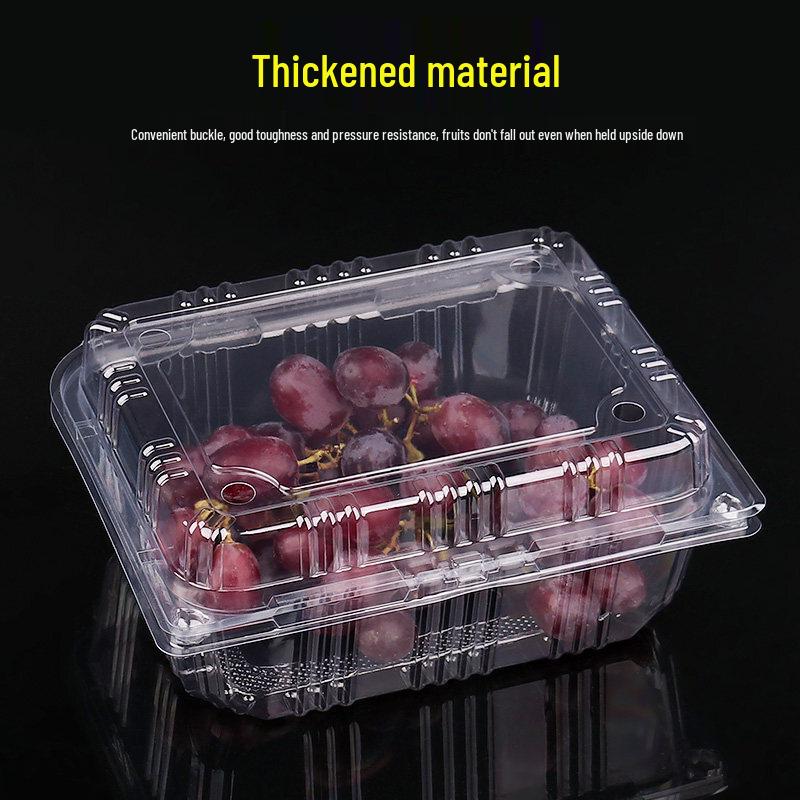 Disposable Rectangular Plastic Fruit Container