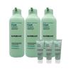 Phyto Fresh Oily Shampoo 500ml X 3 + 70ml X 3 1 Set Ss (33505244)