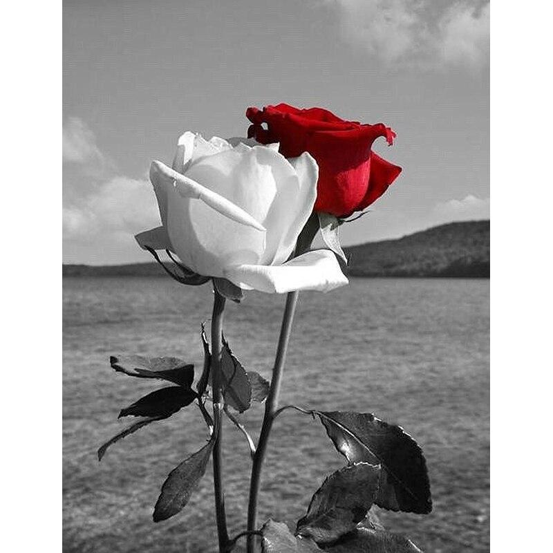 5D DIY Diamond Painting Orchid Scenery Flower Pictures Diamond Embroidery Full Round Rhinestones Crafts Home Decor Gift