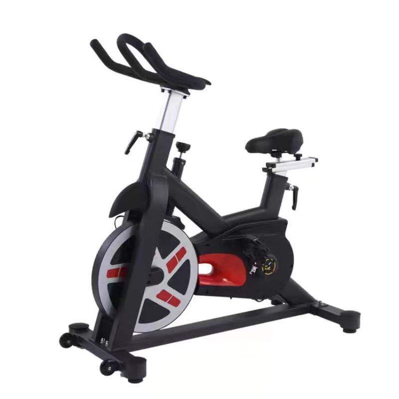 Xinzhen Silent Magnetic Exercise Bike