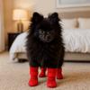 4pcs/set Adjustable Non-Slip Dog Shoes Wear-Resistant Waterproof Dog Boots  Indoor Outdoor