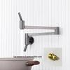TLXT Kitchen Folding Wall-Mount Faucet with Filter Connection