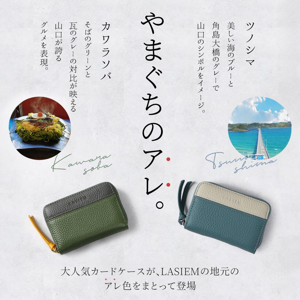 LASIEM Card Case Genuine Leather Cowhide Women's Men's Bellows Magnetic Skimming Prevention Zipper Card Holder Credit Card (Silver Zipper/Tsunoshima)