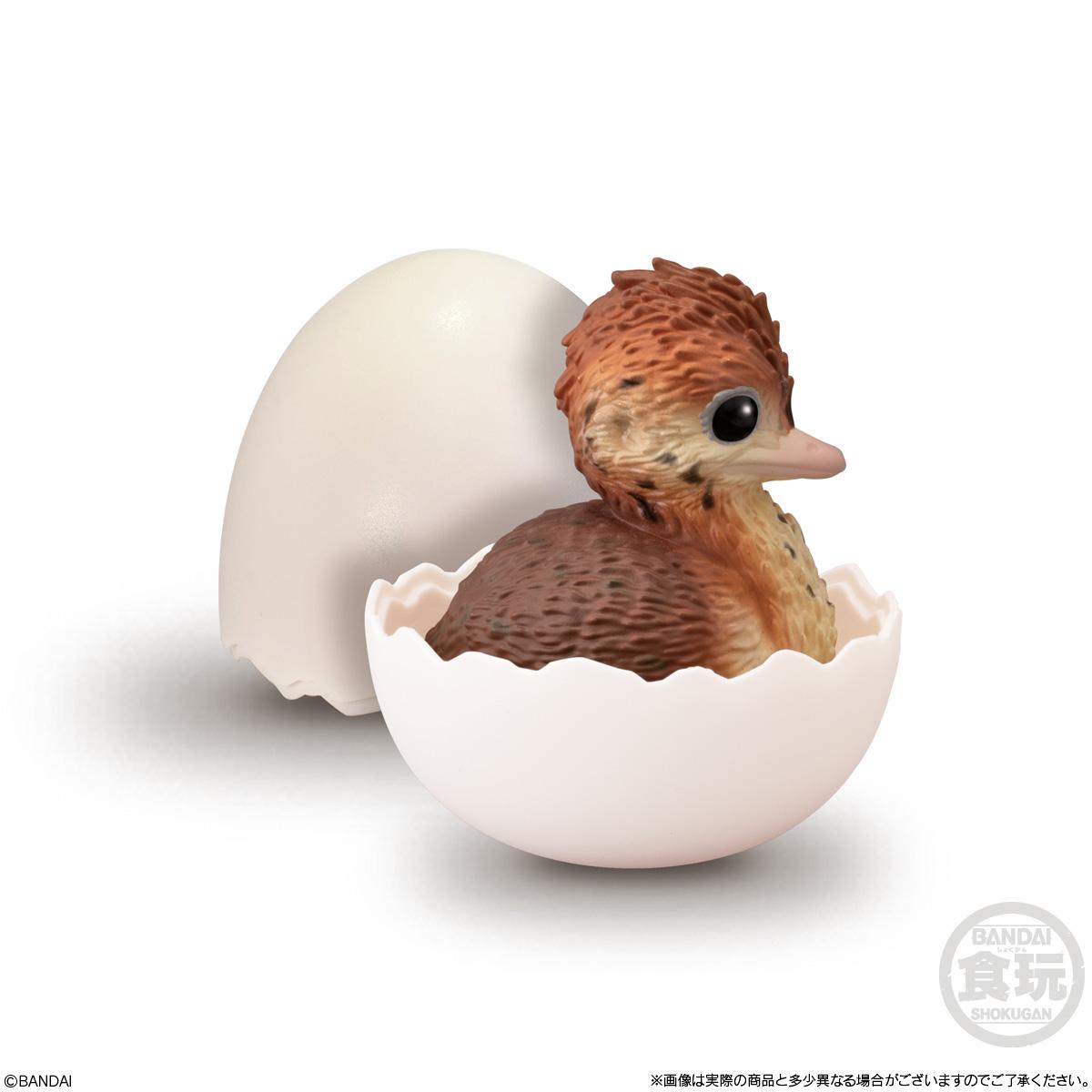 

Dear Little Bird Friend The Little Bird in The Eggshell Parrot Duck Swallow Action Figure Toys Genuine Gacha Scale Model