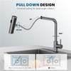 304 StainlessKitchen Faucet Pull Out Rotation Waterfall Stream Sprayer Brushed High Efficiency Cleaning Sink Steel Tap Accessory