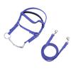 Horse Bridle Rein Nylon Stylish Adjustable Horse Bridle Headstall Equestrian Rein Blue L( For Horses with Shoulder