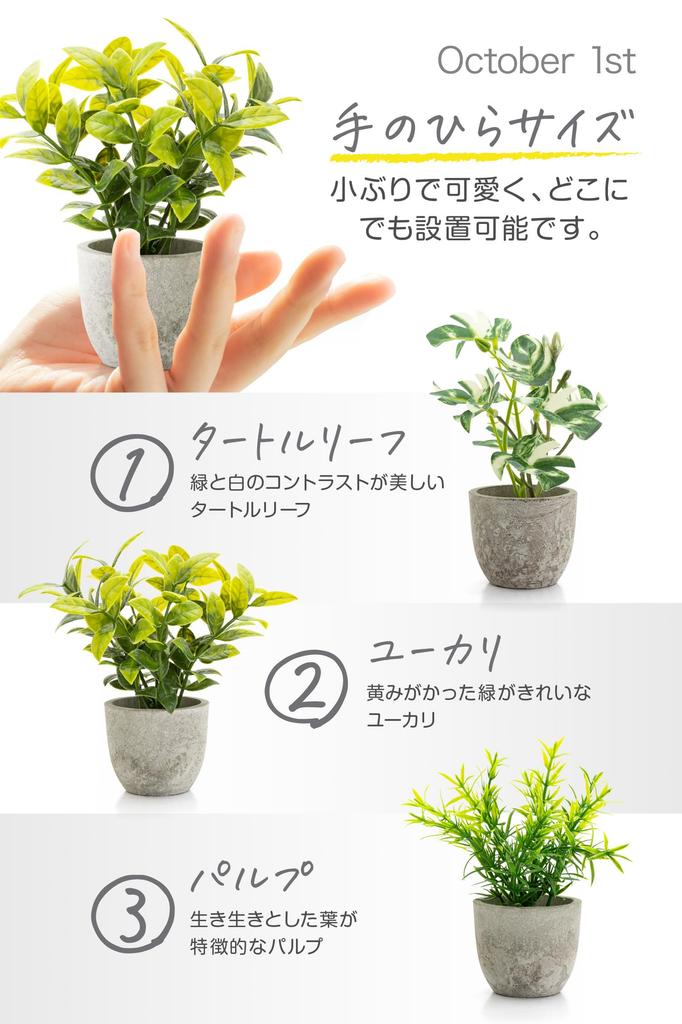 October1st Faux Greenery, Artificial Houseplants, 3-Piece Set, Tabletop, Photocatalytic Treatment, Artificial Flowers, Interior Decor, Mini Indoor