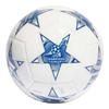 UCL Club 23/24 Group Stage Football