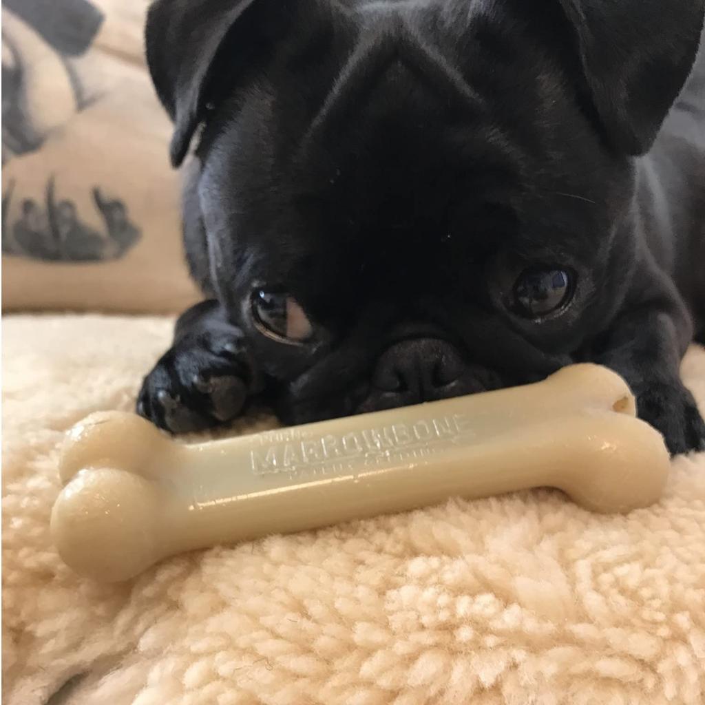 THE SPORN COMPANY Dog Toy Dental Toy Mallow Bone Cheese Flavor Jumbo