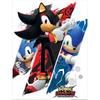 Sonic The Hedgehog Shadow & Sonic Druck