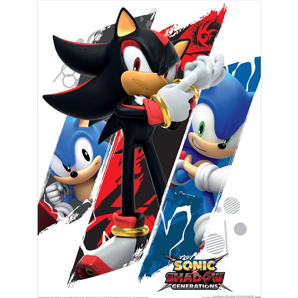 Sonic The Hedgehog Shadow & Sonic Druck
