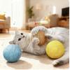 Super Interactive Sisal Cat Scratching Ball Toy Anti-Bite Teething Kitten Cleaning Pet Supplies with Sound for Interactive Fun