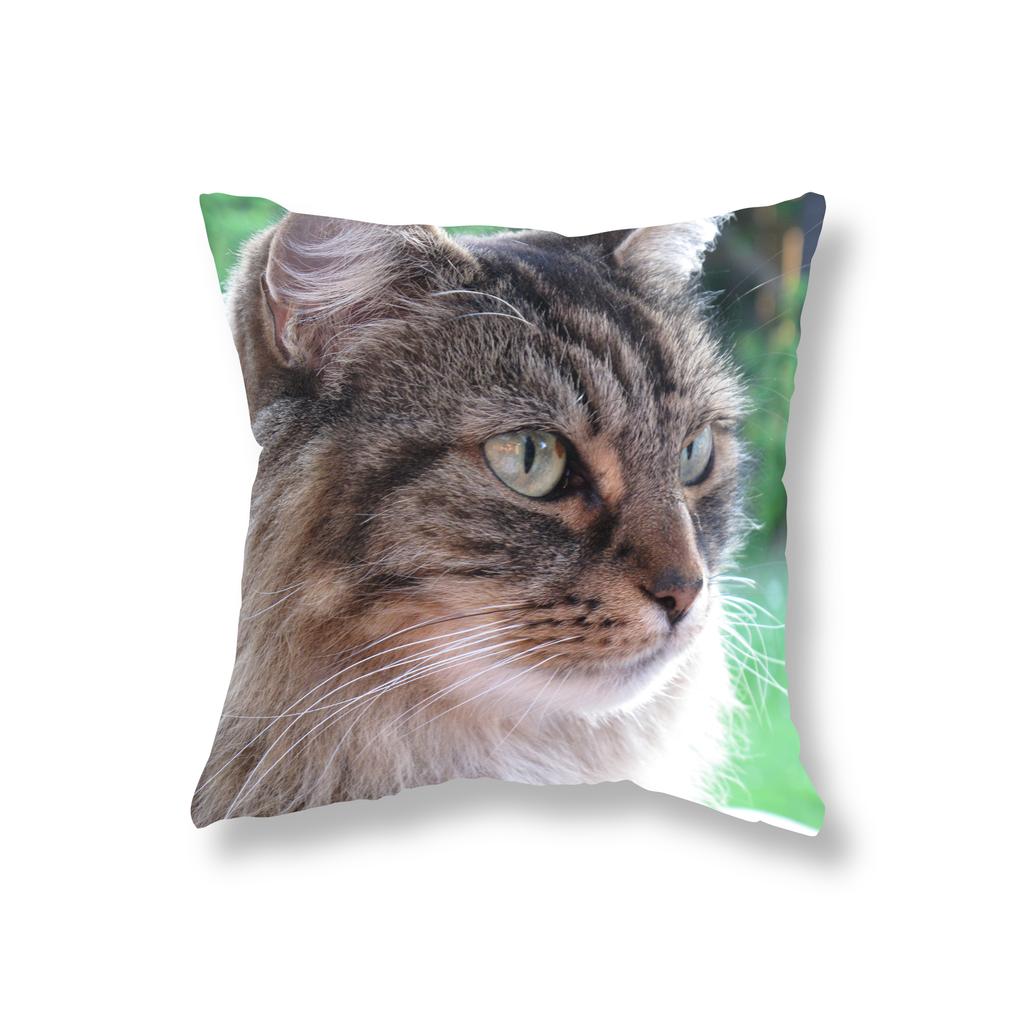 Cute Kitten Throw Pillowcase Sofa Party Decoration Office Game Chair Cushion Cover Room Bedside Home Decor Pillowcase 45x45cm