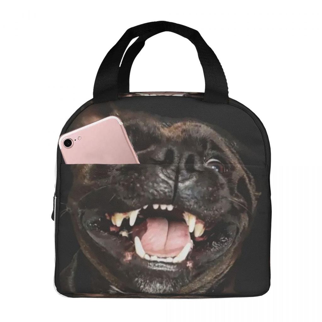 Staffordshire Bull Terrier Insulated Lunch Bag for Kids School Cooler Thermal Food Box Tote Leakproof Lunch Boxes Container