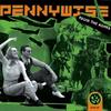 From the Ashes by Pennywise (CD)
