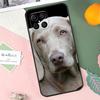 Weimaraner Dog Case For Honor X8b X9b X9c X9a X8a X8 X9 50 70 90 Lite Honor 200 Lite Magic 7 5 6 Pro Cover