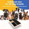 Dog Nail Scratch Board Wear Resistant Dog Nail File Board with Hidden Snack Box Pet Safe Sandpaper Board for Cat and Dog