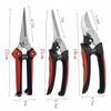 Customized Stainless Steel Pruning and Grapes Shear Set - Includes Garden Tools and Fruit Picking Scissors.