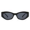 Angular Cat-Eye Sunglasses Modern Retro Temples with Jumping Shape Decorative Sunglasses for Women Fashion Lh