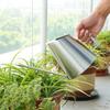 Silver Watering Can with Long for Indoors and Outdoors