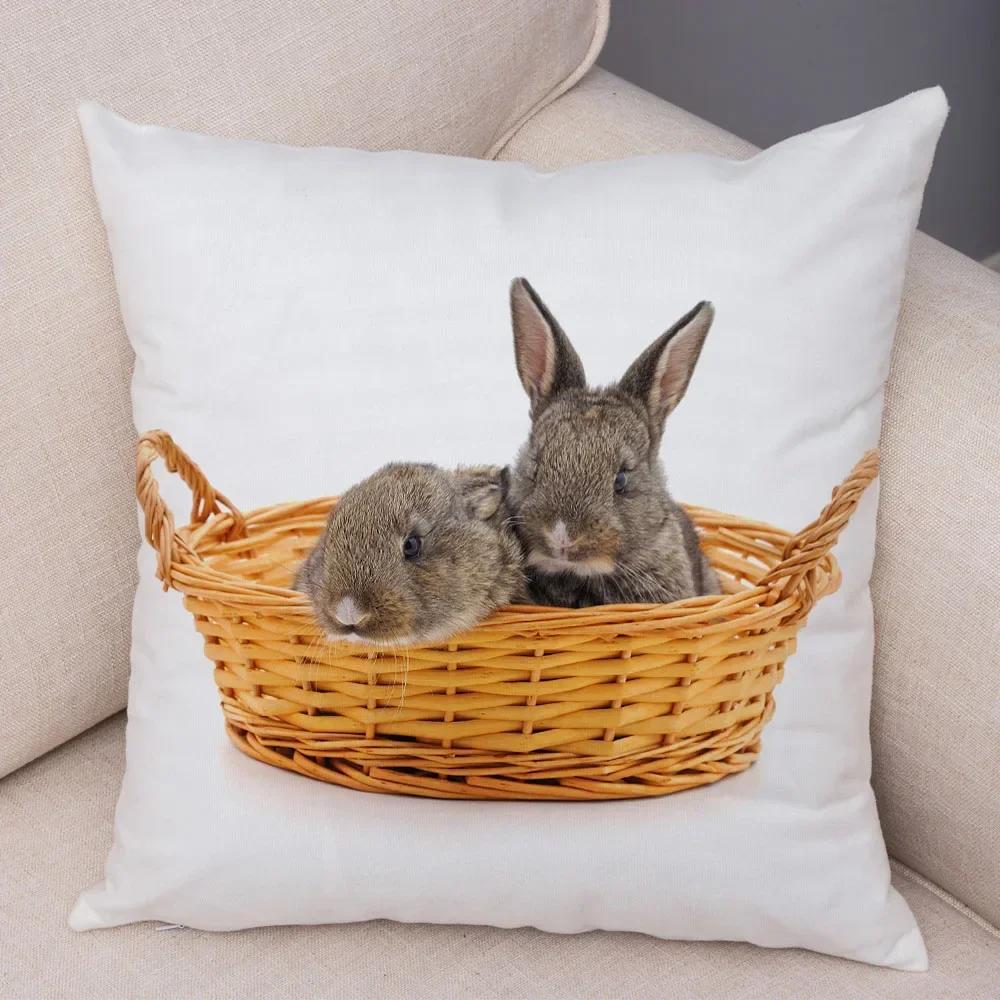 Home Sofa Kids Room Decor Cute Pet Animal Print Cushion Cover Pillowcase  Rabbit