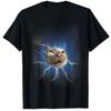 Gatto Ibuprofene Divertente Meme Gatto Esilarante Maglietta Umorismo Maglietta Inappropriata Che Fa Ridere Molto Outfit Sarcastico Y2k