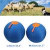 Mingea gonflabilă mare pentru câini pentru distracție și antrenament în aer liber, jucărie interactivă rezistentă și elastică pentru joacă în curte