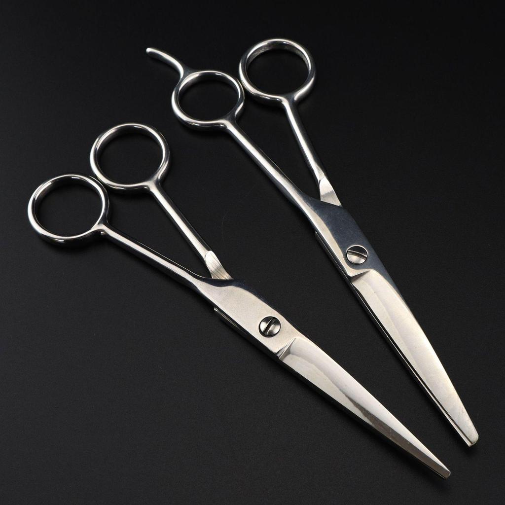 6.0" Stainless Steel Hairdressing Shears