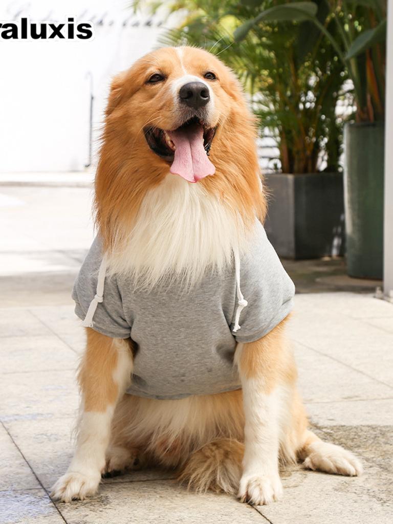 Fall Winter Fleece Golden Retriever Pocket Cat Dog Hoodie for Large Small Dogs Cats Pet Apparel