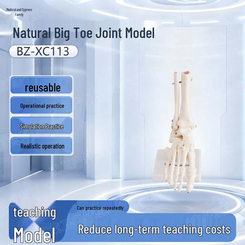 Realistic Foot Joint Model