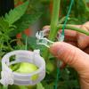 100Pcs Plastic Plant Clip Plant Support Garden Greenhouse Vegetables Clip Garden
